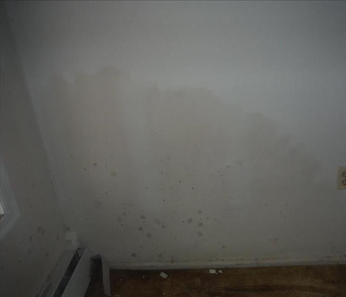 white drywall yellowing in the corner from water