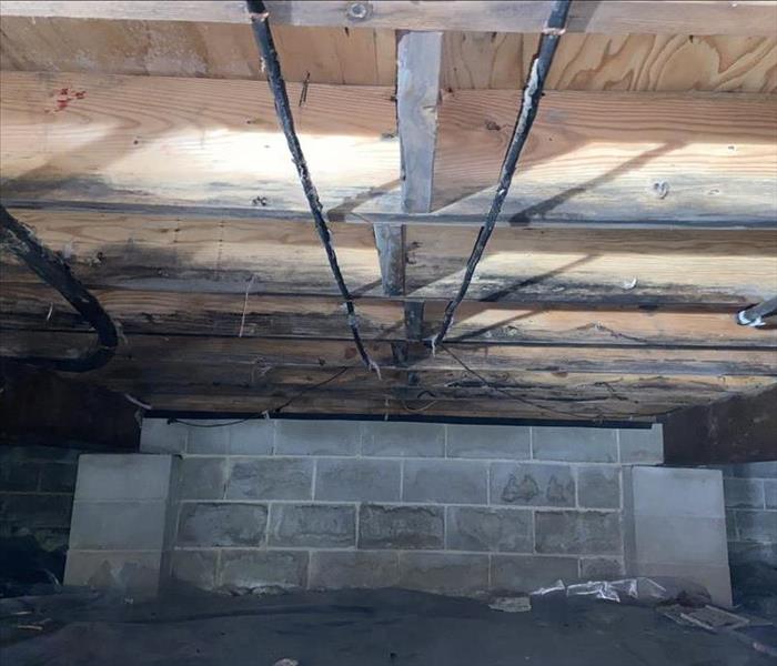 Mold in crawl space on wood 