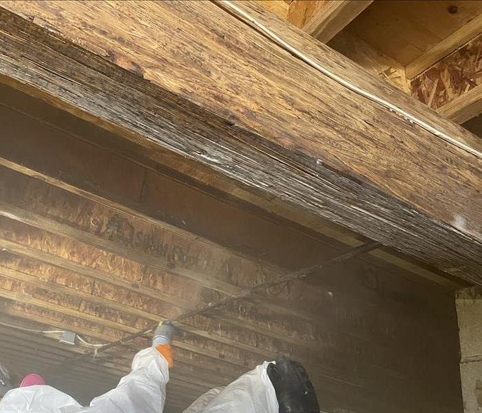 Mold remediation process in a crawlspace in Point Pleasant Beach